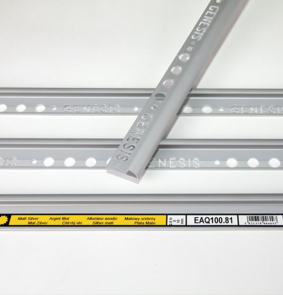 Plaadiliist 8mmx2,5m matt/silver EAQ080.81