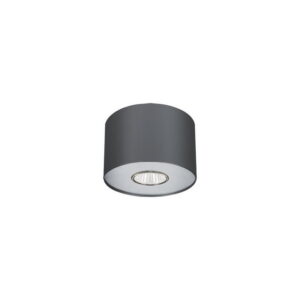 Kohtvalgusti T6006 POINT GRS