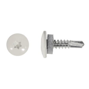 Plekikruvi T-TAP 4,8x19mm RR20 puur 250tk 80-K69RR2048019