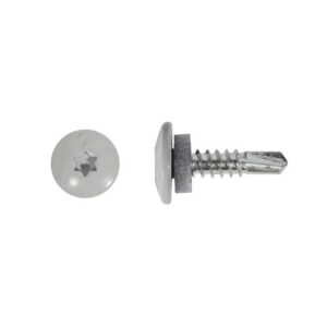 Plekikruvi T-TAP 4,8x19mm RR21 puur 250tk 80-K69RR2148019