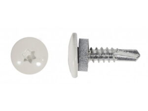 Plekikruvi T-TAP 4,8x19mm RR20 puur 25tk 80-B69RR2048019