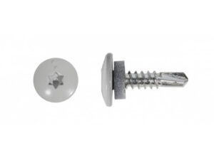 Plekikruvi T-TAP 4,8x19mm RR21 puur 25tk 80-B69RR2148019