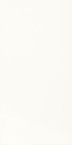 Glasuurplaat TONNES BIANCO 30X60 631183