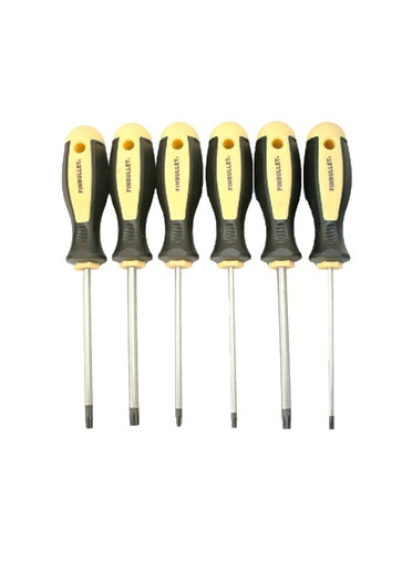 Kruvitsatekomplekt Torx 6osa TN_1123